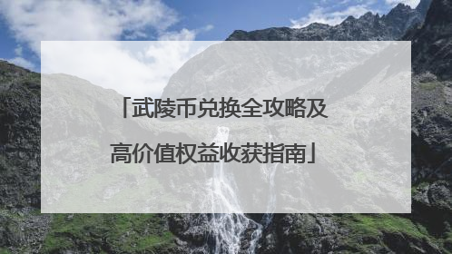 武陵币兑换全攻略及高价值权益收获指南